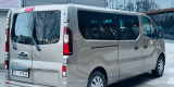 Mariusz / Transport - Busy | Wynajem busów Kraków, małopolskie - zdjęcie 3