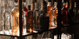 Mezcal Bar | Barman na wesele Mirsk, dolnośląskie - zdjęcie 5