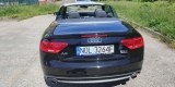 Audi A5 cabriolet | Auto do ślubu Ostróda, warmińsko-mazurskie - zdjęcie 4