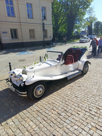 Biały Alfa Romeo Nestor | Auto do ślubu Piła, wielkopolskie