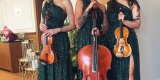 Arco Quartet | Oprawa muzyczna ślubu Poznań, wielkopolskie - zdjęcie 2
