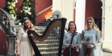 Arco Quartet | Oprawa muzyczna ślubu Poznań, wielkopolskie - zdjęcie 3