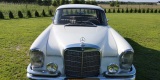 Biały Mercedes 220 S | Auto do ślubu Kostrzyn nad Odrą, lubuskie - zdjęcie 2