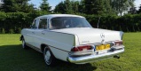 Biały Mercedes 220 S | Auto do ślubu Kostrzyn nad Odrą, lubuskie - zdjęcie 3