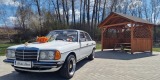 Mercedes W123 sedan z 1978 roku | Auto do ślubu Opatowiec, świętokrzyskie - zdjęcie 4