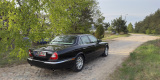 Jaguar XJ8 czarny | Auto do ślubu Gdańsk, pomorskie - zdjęcie 4