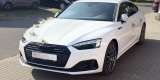 Audi A5 2024 | Auto do ślubu Bydgoszcz, kujawsko-pomorskie - zdjęcie 3