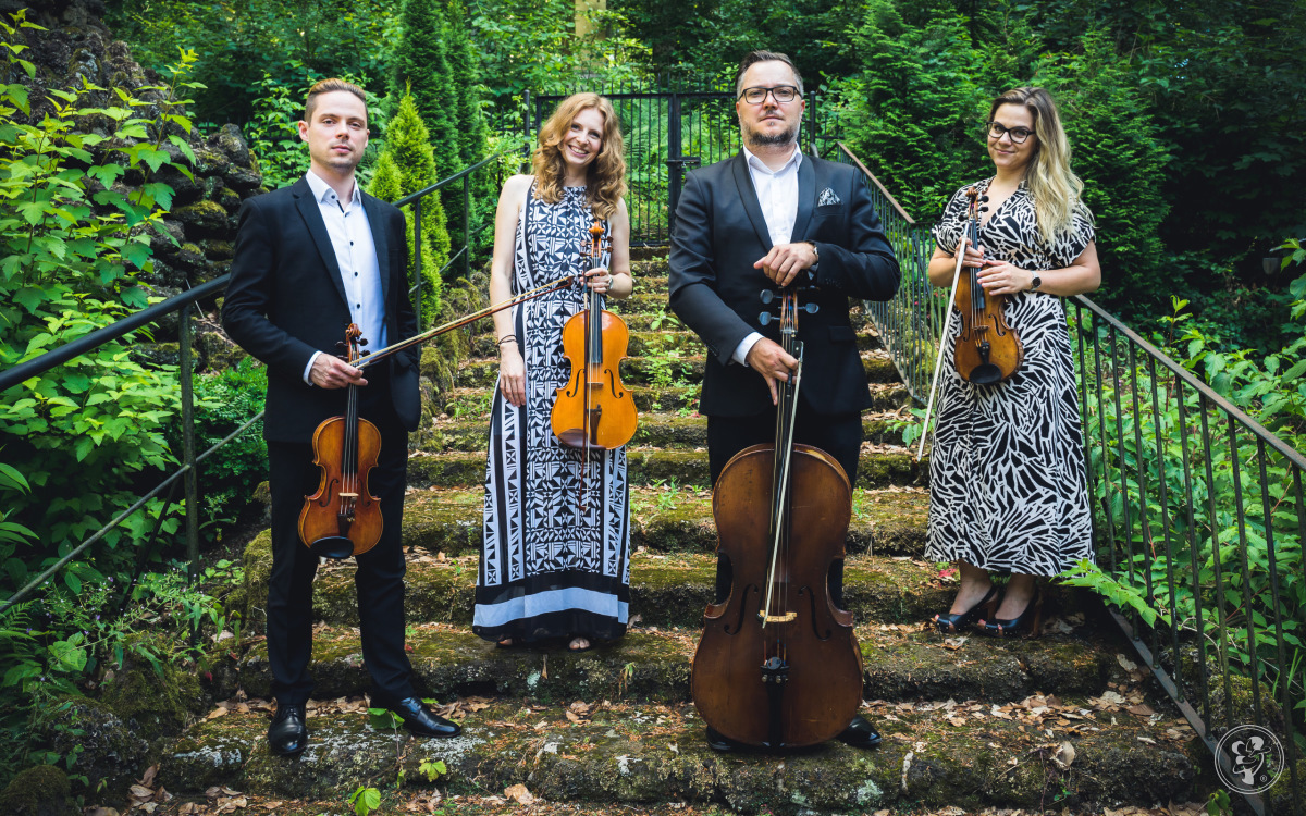 Carbon String Quartet | Oprawa muzyczna ślubu Wrocław, dolnośląskie - zdjęcie 1