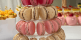 Divine Catering | Catering weselny Warszawa, mazowieckie - zdjęcie 4