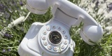 Halo życzenia - Telefon życzeń | Unikatowe atrakcje Ostrów Wielkopolski, wielkopolskie - zdjęcie 2