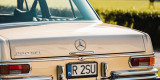 Złoty Mercedes 280 SEL | Auto do ślubu Rzeszów, podkarpackie - zdjęcie 5