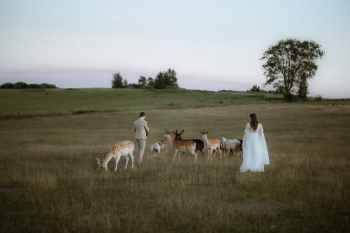 Fotografia Magdalena Winek | Fotograf ślubny Warszawa, mazowieckie