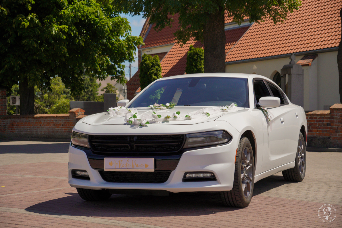 Dodge Charger V6 | Auto do ślubu Toruń, kujawsko-pomorskie - zdjęcie 1