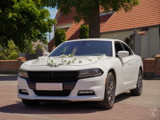 Dodge Charger V6 | Auto do ślubu Toruń, kujawsko-pomorskie