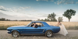 Biernaccy Pictures Fotografia Film | Fotograf ślubny Wrocław, dolnośląskie - zdjęcie 2