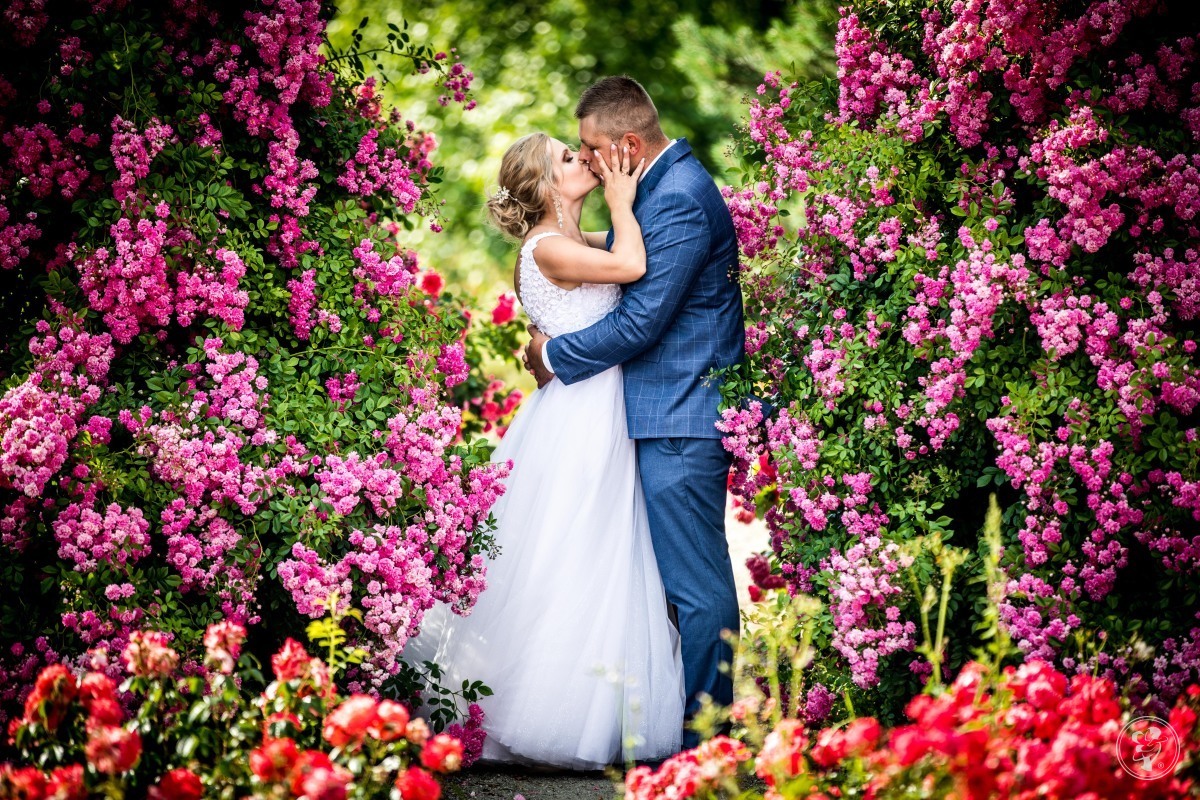 Fotografie i Film MyFilmstar | Fotograf ślubny Skarżysko-Kamienna, świętokrzyskie - zdjęcie 1