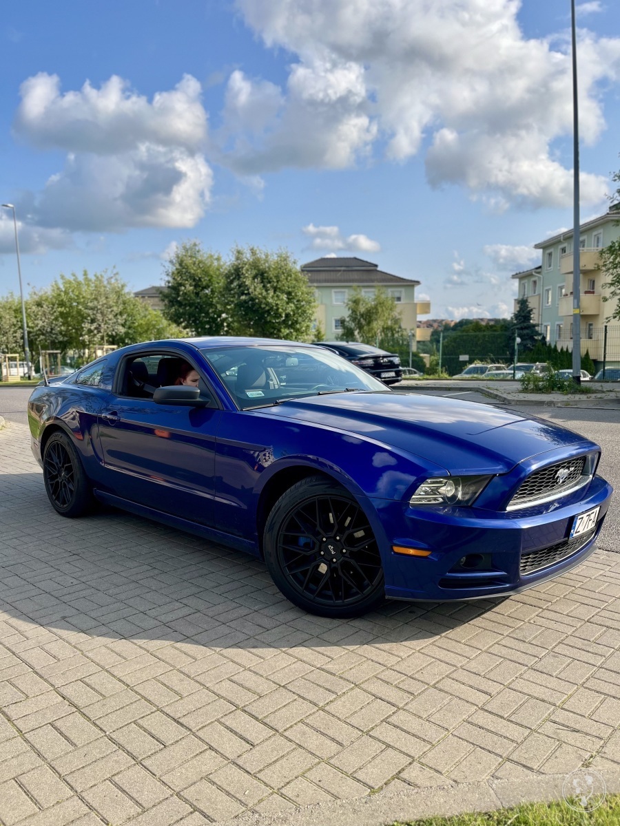 Ford Mustang 2013 Base | Auto do ślubu Gdańsk, pomorskie - zdjęcie 1