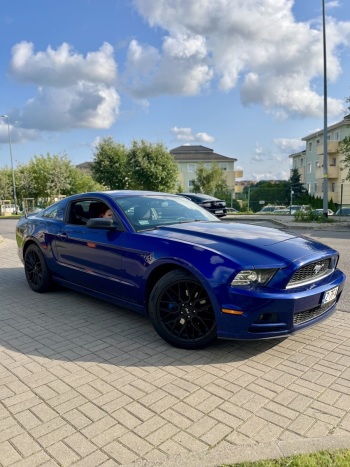 Ford Mustang 2013 Base | Auto do ślubu Gdańsk, pomorskie