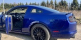 Ford Mustang 2013 Base | Auto do ślubu Gdańsk, pomorskie - zdjęcie 2