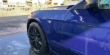Ford Mustang 2013 Base | Auto do ślubu Gdańsk, pomorskie - zdjęcie 3