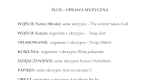 Skrzypce Aleksandra Babiarz | Oprawa muzyczna ślubu Warszawa, mazowieckie - zdjęcie 4