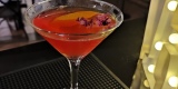 Black Drink | Barman na wesele Radzyń Podlaski, lubelskie - zdjęcie 6