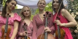 Ventuno Quartet | Oprawa muzyczna ślubu Warszawa, mazowieckie - zdjęcie 3