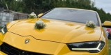 Lamborghini Urus | Auto do ślubu Tarnowskie Góry, śląskie - zdjęcie 4