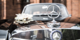 Czarny Mercedes W110 Skrzydlak | Auto do ślubu Bydgoszcz, kujawsko-pomorskie - zdjęcie 4