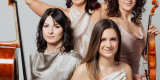Vena Quartet | Oprawa muzyczna ślubu Katowice, śląskie - zdjęcie 2