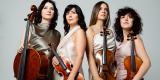 Vena Quartet | Oprawa muzyczna ślubu Katowice, śląskie - zdjęcie 3