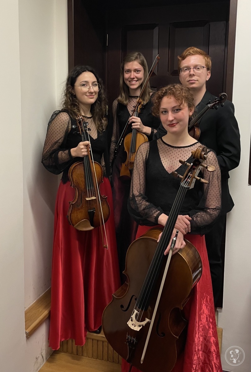 Somnium String Quartet | Oprawa muzyczna ślubu Jaworzno, śląskie - zdjęcie 1
