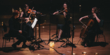 Somnium String Quartet | Oprawa muzyczna ślubu Jaworzno, śląskie - zdjęcie 3