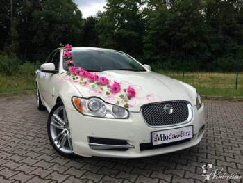 Jaguar XF *Biała* Perła, Samochód, auto do ślubu, limuzyna Siemianowice Śląskie