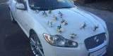 Jaguar XF *Biała* Perła | Auto do ślubu Siemianowice Śląskie, śląskie - zdjęcie 2
