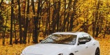 Samochód Maserati | Auto do ślubu Poznań, wielkopolskie - zdjęcie 6