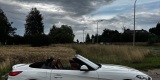 BMW Z4 Kabriolet | Auto do ślubu Tychy, śląskie - zdjęcie 4