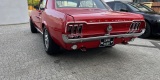 Ford mustang z 1968 roku | Auto do ślubu Gdynia, pomorskie - zdjęcie 5