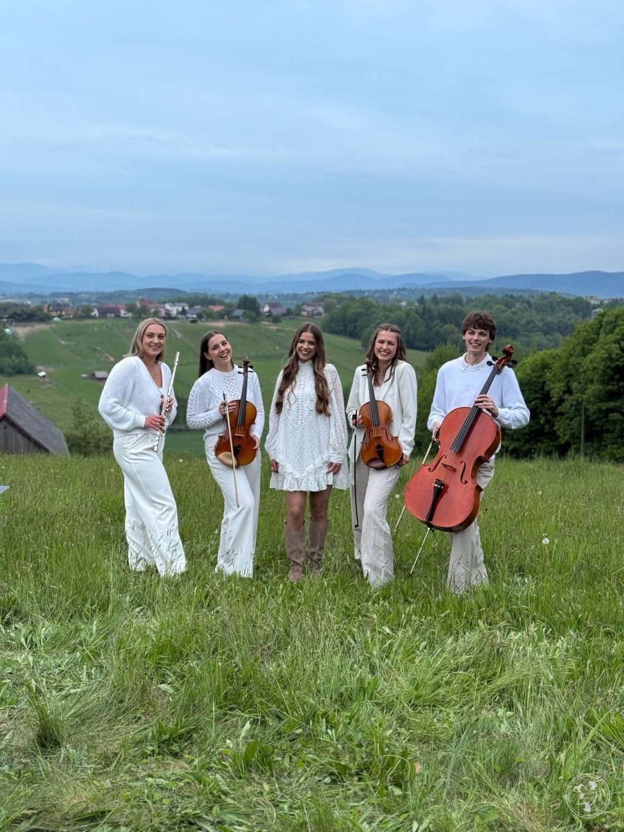 Verdi kwartet | Oprawa muzyczna ślubu Kraków, małopolskie - zdjęcie 1