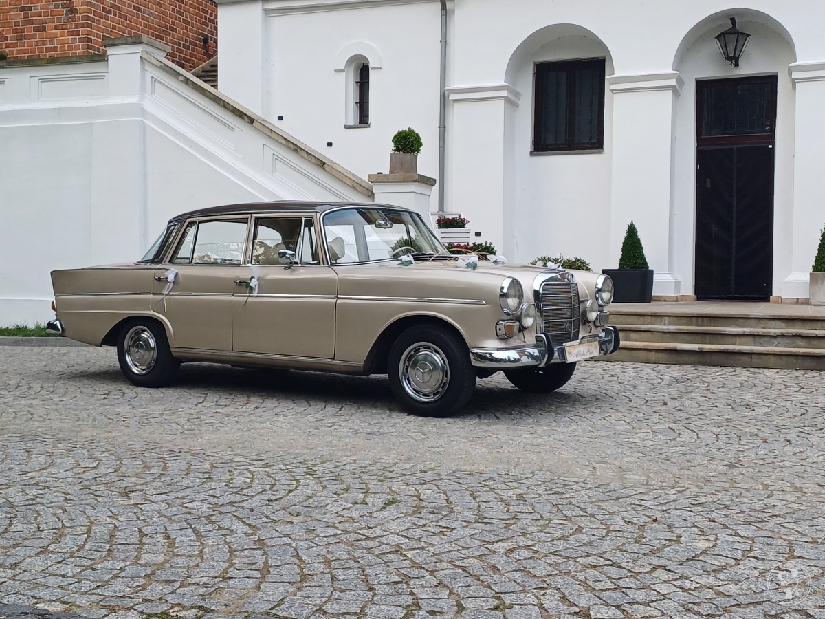 Mercedesy W110 skrzydlak i CLS C219 | Auto do ślubu Łódź, łódzkie - zdjęcie 1