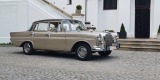 Mercedesy W110 skrzydlak i CLS C219 | Auto do ślubu Łódź, łódzkie - zdjęcie 1