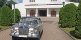 Mercedesy W110 skrzydlak i CLS C219 | Auto do ślubu Łódź, łódzkie - zdjęcie 4
