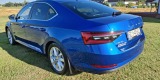 Skoda Superb w kolorze Blue Race | Auto do ślubu Chybie, śląskie - zdjęcie 3