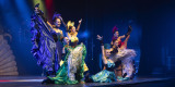 Diamond Legs retro show | Pokaz tańca na weselu Warszawa, mazowieckie - zdjęcie 6