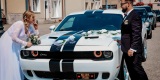 Dodge Challenger | Auto do ślubu Siewierz, śląskie - zdjęcie 3