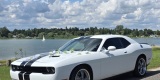 Dodge Challenger | Auto do ślubu Siewierz, śląskie - zdjęcie 5