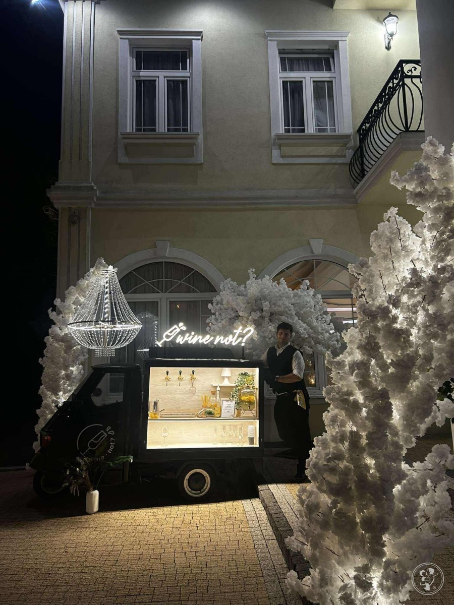 Wine Not? - VAN + DAMA | Barman na wesele Motycz, lubelskie - zdjęcie 1