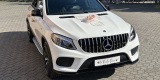 Mercedes GLE 43 AMG | Auto do ślubu Radom, mazowieckie - zdjęcie 5