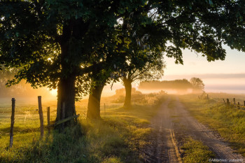 wideofilmowanie, sesje ślubne, HD, | Kamerzysta na wesele Gogolin, opolskie