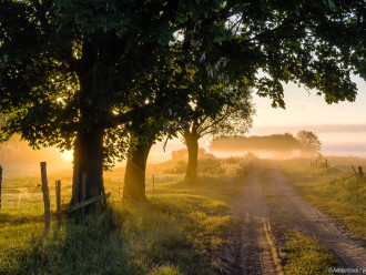 wideofilmowanie, sesje ślubne, HD, | Kamerzysta na wesele Gogolin, opolskie